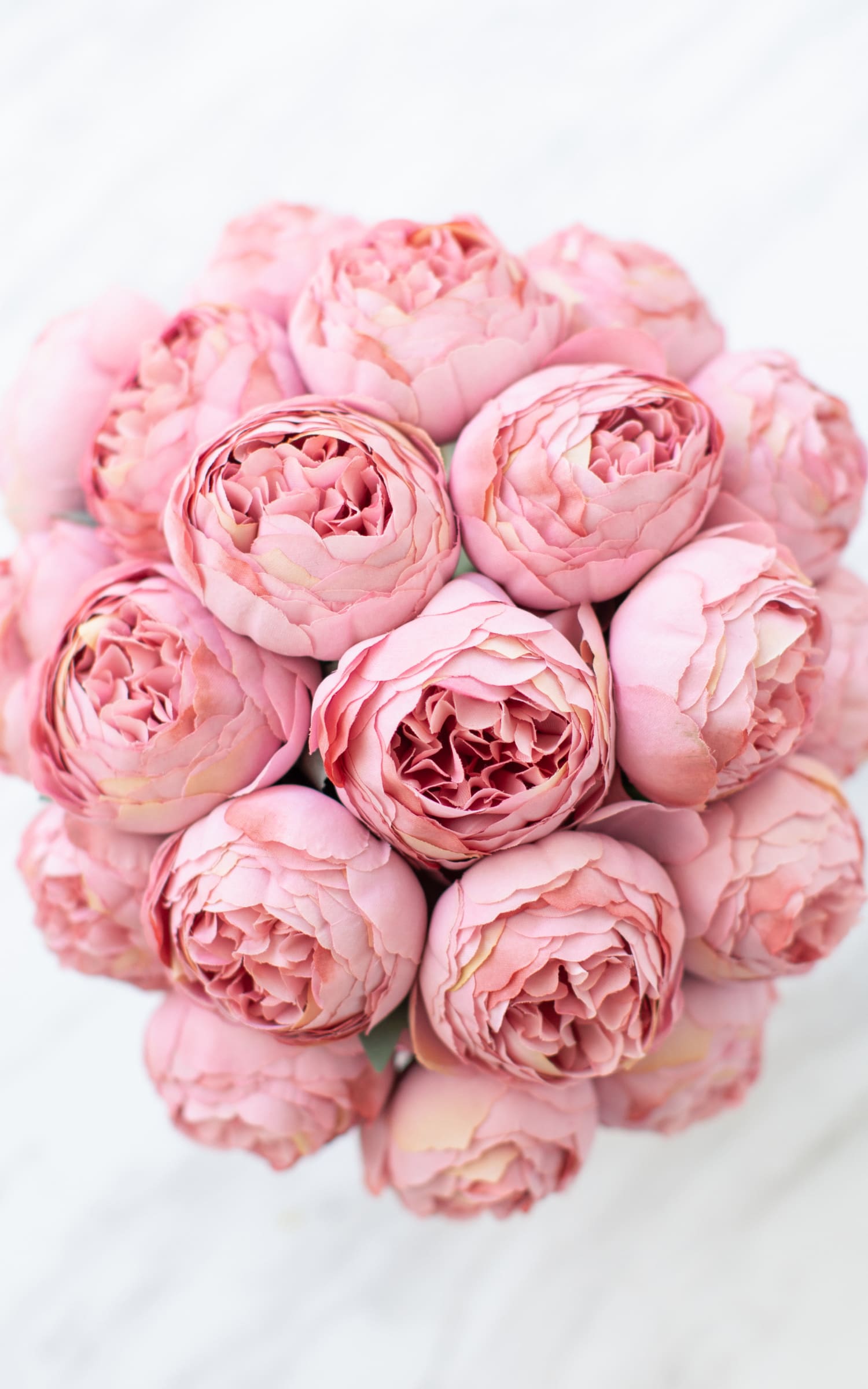 Peonias Rosas en Florero Blanco Mediano