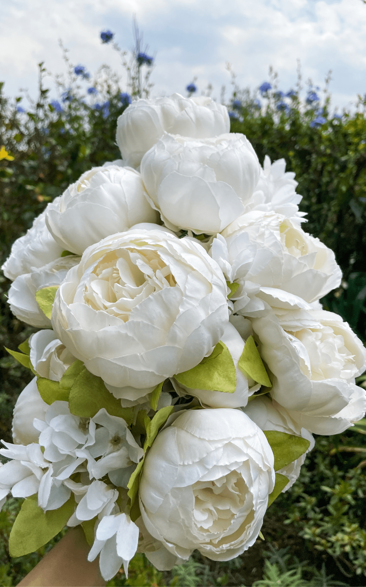 Ramo 24 Peonias Blancas Blair