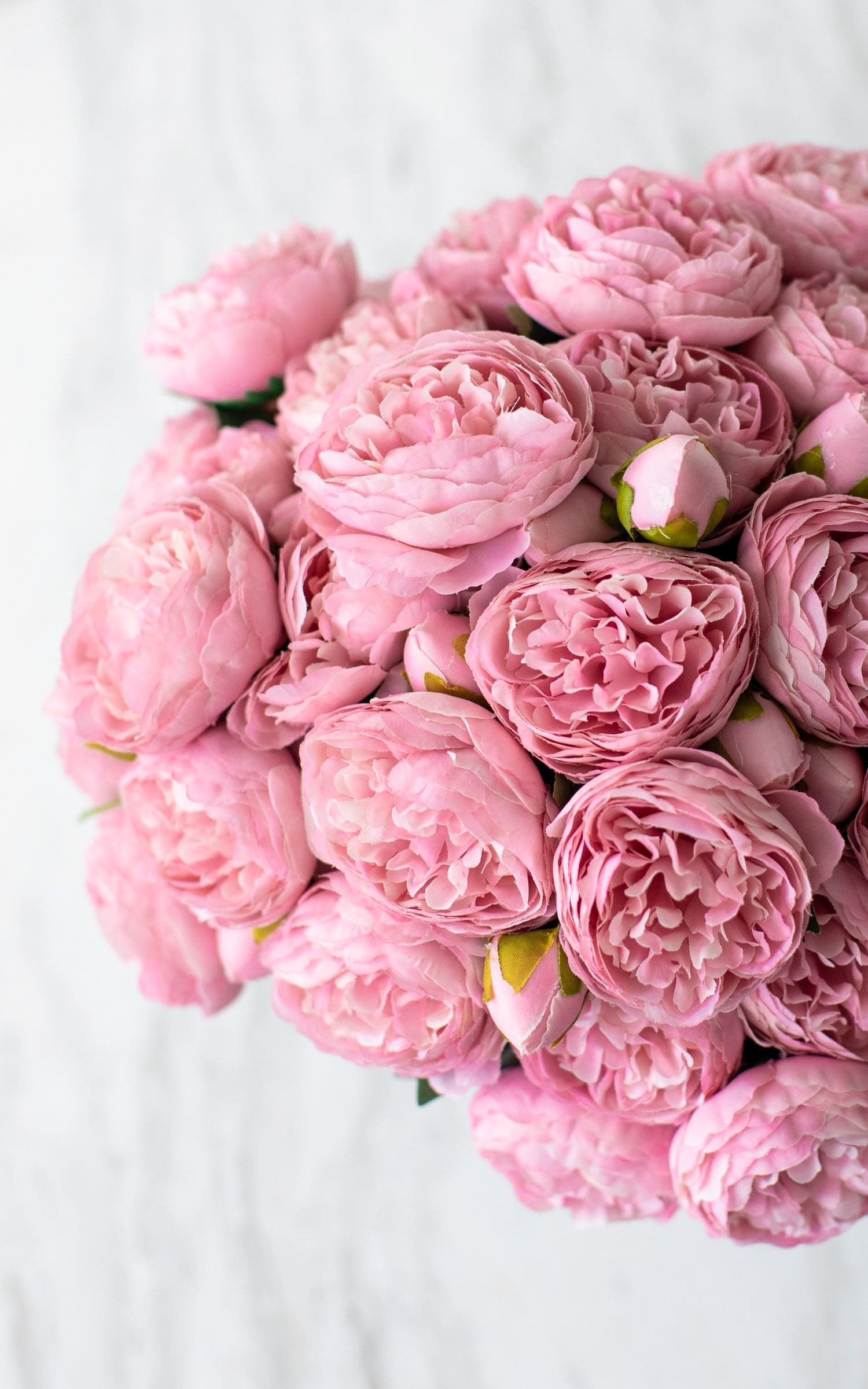 Peonias Rosas en Florero Blanco Grande