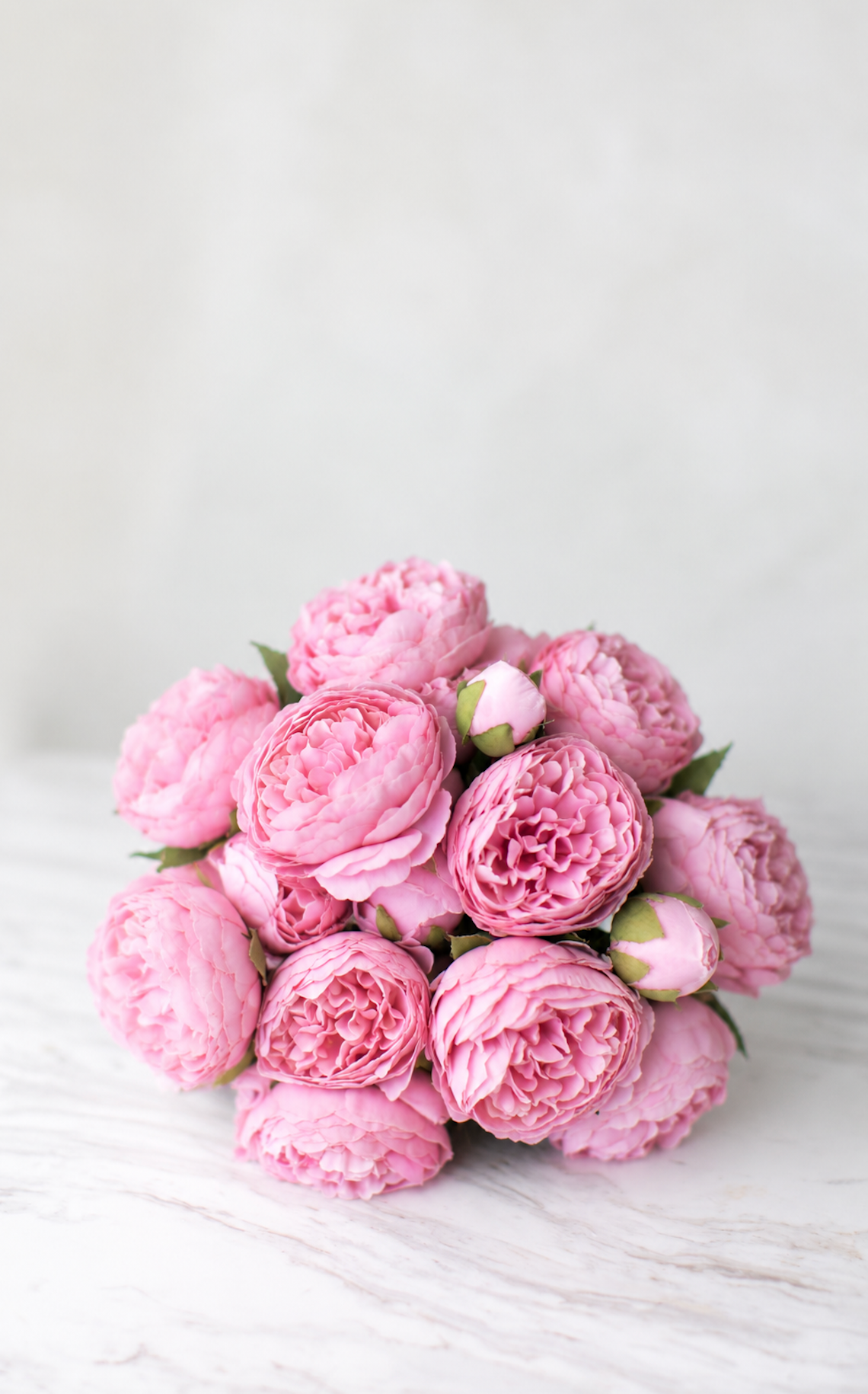 Ramo de 15 Peonias Rosas